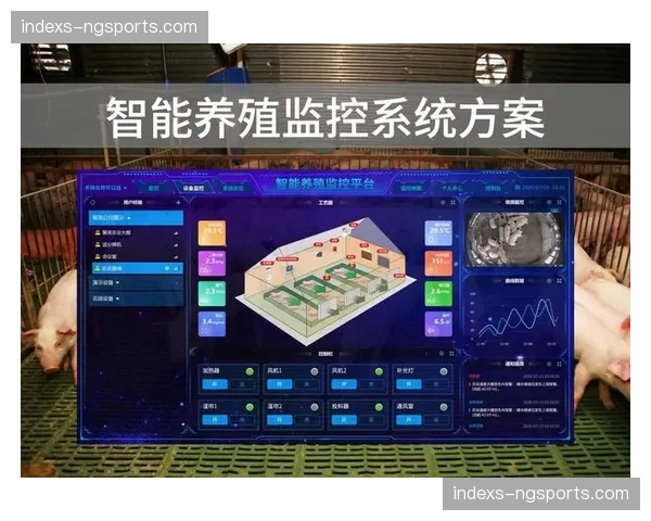 智能化监测系统上线版权保护 覆盖全网非法流媒体